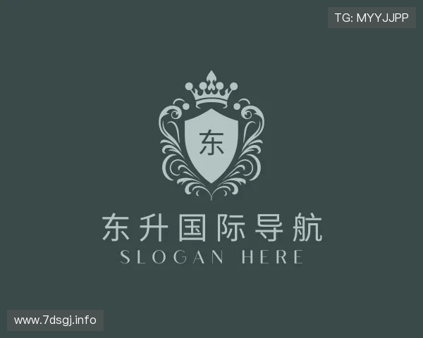 发现东升国际导航